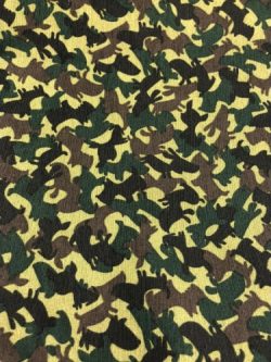 Καραβόπανα-Λονέτες 5485