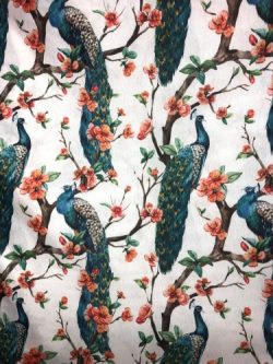 Καραβόπανα-Λονέτες 5441