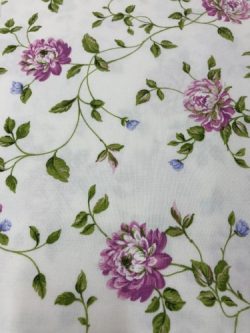 Καραβόπανα-Λονέτες 5467