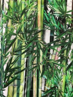 Τροπικά σχέδια 6115