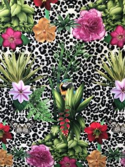 Τροπικά σχέδια 6112