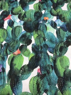 Λονέτα Κάκτος 11993