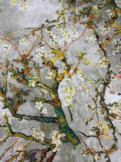 Καραβόπανο Αμυγδαλιά Van Gogh Με Ψηφιακή Εκτύπωση 14965